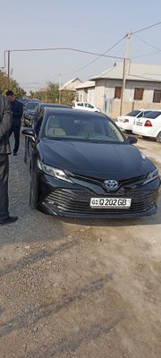 Тойота camry (2021), туй маросимлари, роддом