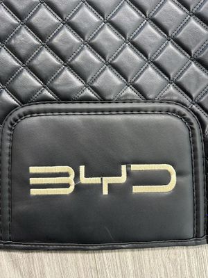 Byd tang 9D Polik