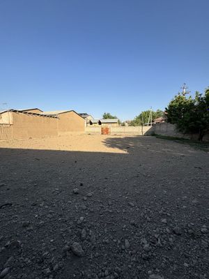 Yer sotiladi. Ippodrom Olim polvonda