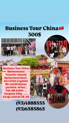 Business Tour china