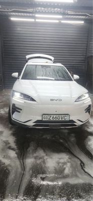 Byd chimpion 2024 yil arenda