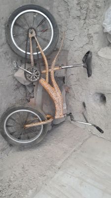 Gipart velik volati zur ikata baloni yamash kerak