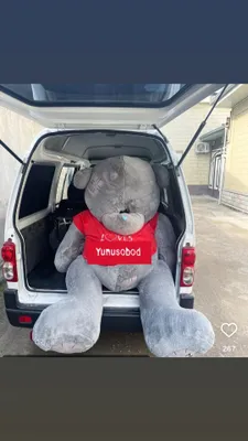 Teddy,Ayiqchalar,Teddi!(Novinka)