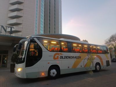 Golden drakon avtobus sotiladi