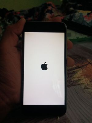 Iphone 7 500 ming kani bor
