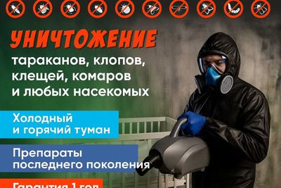 Dezinfeksiya klop klapa Дезинфекция от клопов клапа мышей таракан клоп