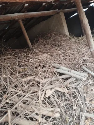 Срочно сотилади .