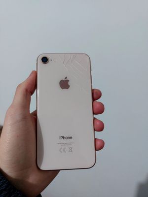 Ipxone 8 kafolati bilan