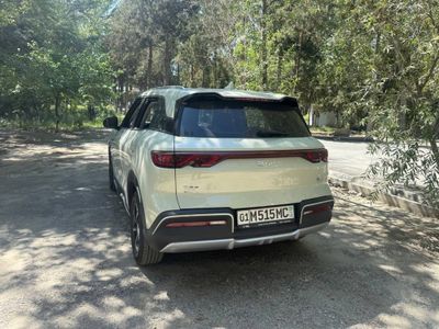 Byd Yuan Up 2024