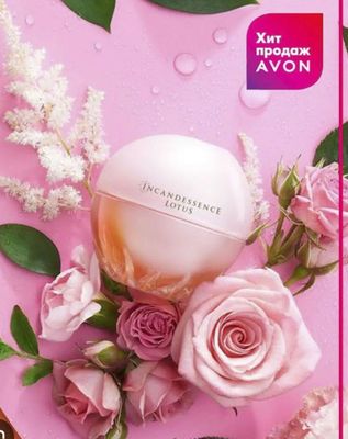 Incandessece lotus avon