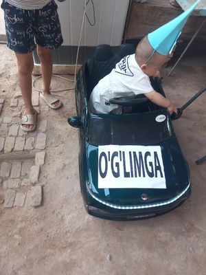Мошина