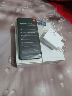 Xiaomi 13T Pro 12/256