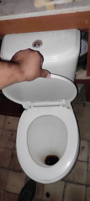 Unitaz COCO holati zoʻr