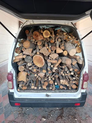 Oʼtin sotiladi quruq. mevali va mevasiz.