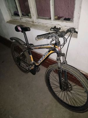 gonchik 26