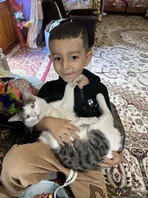 Безплатно оддам хорошие заболиви руки