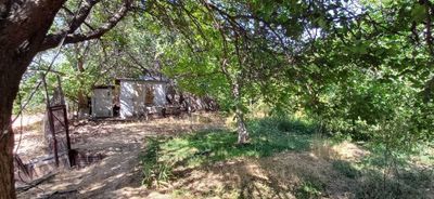 Дача, Майск,10 соток, 23 километра от Ташкента