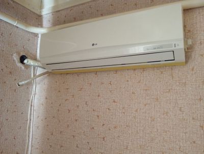 Канидсанер LG 22талик