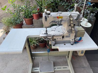 800$ Jack Xovolik rasham