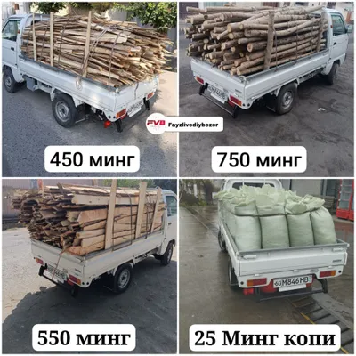 ТЕРАК ЎТИНЛАР