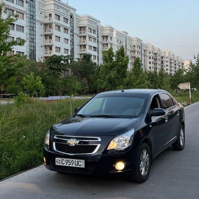 Cobalt 2024 navarotla bor