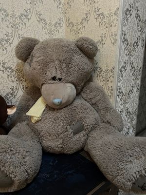 Teddy продаётся
