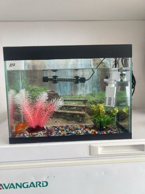 Akvarium hamma jihozlari bilan sotiladi