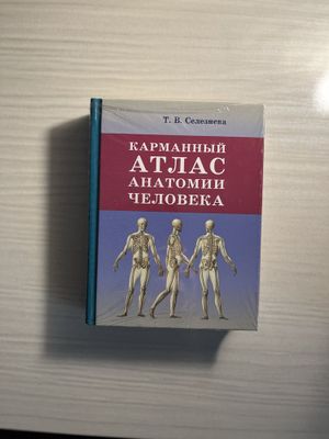 Доставка бесплатно! Карманный атлас анатомии человека Т. В. Селезнева