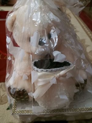 ayiqcha tagida sandiqchasi bor