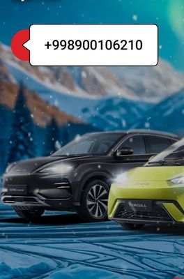 Всех видов запчастей BYD