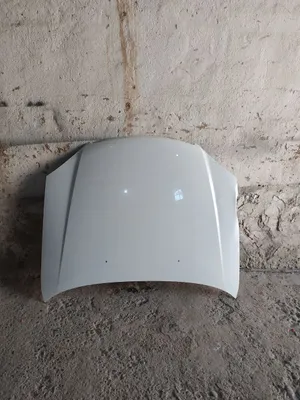 Lasetti kapot radnoy 2013-yil