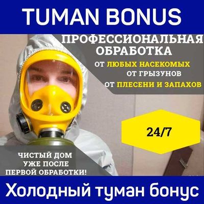 Дезинсекция от насекомых дезинфекция dezinfeksiya dizinfeksiy klopa