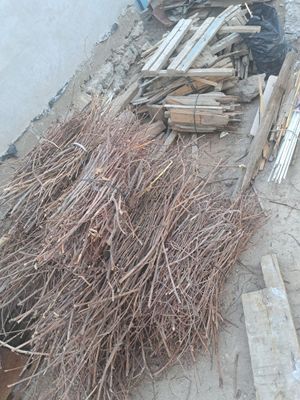 Отинлар бар жаксы, келисимли