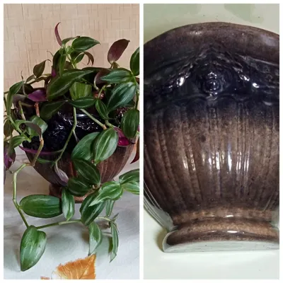 Продам. Красивое керамическое настенное кашпо.