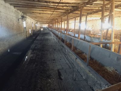 Молхона ва ишлаб чикариш бинолари
