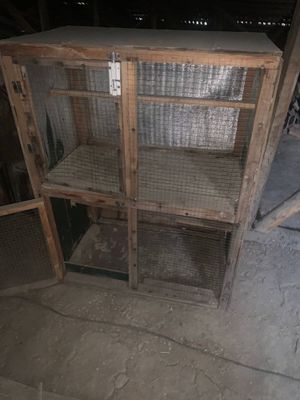Tovuqlar parandalar uchun In