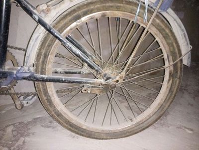 velosiped
