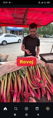 Равоч донаси 50000 йирик