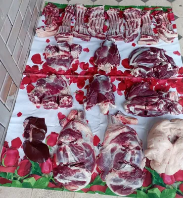 Қассоб - Qassob - Service hizmati