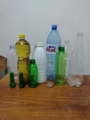 Бакалашкалар пэт