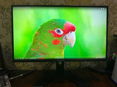 Монитор Gigabyte G27Q 2K 144 Hz