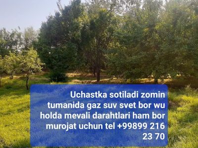 Zomin Tumani Jayilmada Uchaska Sotiladi