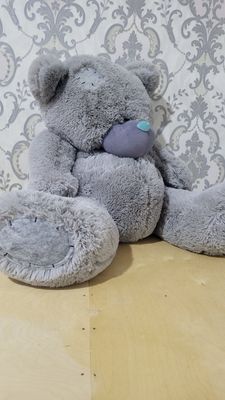 Тедди таза игрушка