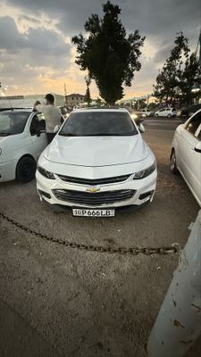 sotladi malibu 2
