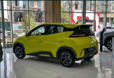 BYD Seagull 2025 eng foydali taklif Kredit yiliga 22%