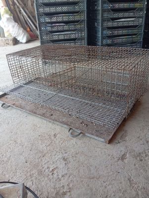 Bedana qafasi sotiladi