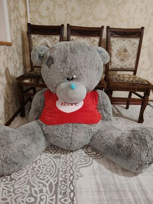Teddy Ayiq Yangi