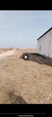 Дала Шимон сотилади