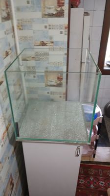 Акварум чрочна ступка йес