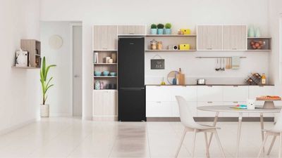 холодильник INDESIT ITS 4200B цены оптом